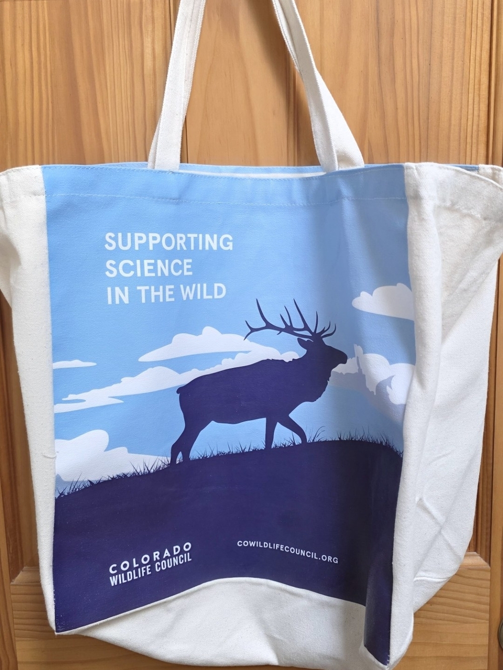 Blue & White Canvas Tote Bag